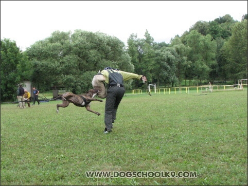 Training camp - Lukova 2007